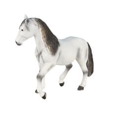 Mojo Andaluzijski konj sive barve