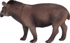 Mojo Južnoameriški tapir