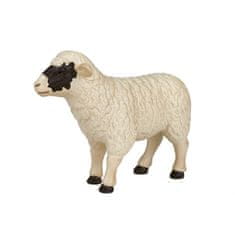 Mojo Hampshirska ovca