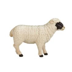 Mojo Hampshirska ovca