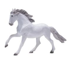 Mojo Luzitanski beli konj