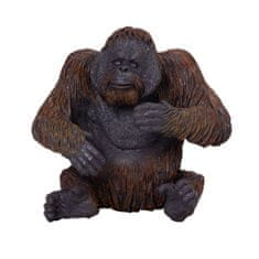 Orangutan Mojo