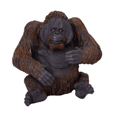Orangutan Mojo