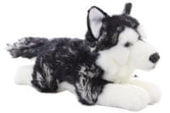 Husky plišast, ležeč 35 cm