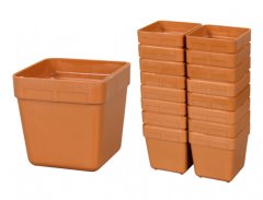 eoshop KAKTUS lahek plastični cvetlični lonec 5x5cm 16ks