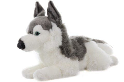 Husky pliš 43 cm