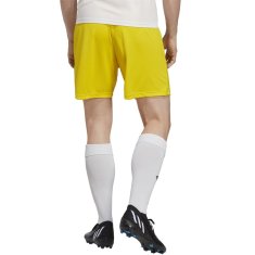 Adidas Hlače obutev za trening rumena 188 - 193 cm/XXL Entrada 22