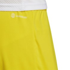 Adidas Hlače obutev za trening rumena 188 - 193 cm/XXL Entrada 22