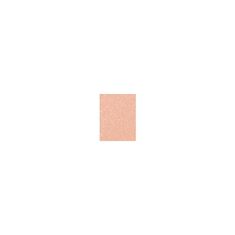 MAC Lipglass glos za ustnice 3.1 ml Odtenek 304 c-thru