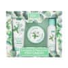 Eucalyptus & Peppermint Foot Care Kit darilni set