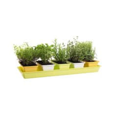 Plastkon Minigarden 60x40x38cm komplet 6 kosov (5+1 kos), barvni