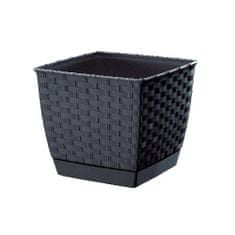 Prosperplast cvetlični lonec RATOLLA SQUARE 19x19x15,9cm ANTR (S433) s skledo