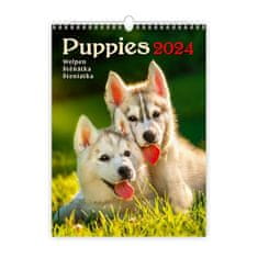 Stenski koledar 2024 - Kužki/Welpen/Puppies
