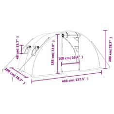 Vidaxl Rastlinjak z jeklenim okvirjem bel 8 m² 4x2x2 m