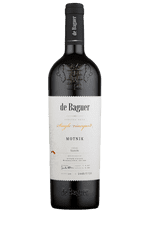 Klet Brda Vino Motnik Single Vineyard de Baguer 2017 Klet Brda 0,75 l