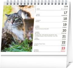 Namizni koledar Mačke - z imeni mačk 2024, 16,5 × 13 cm