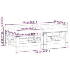 Vidaxl Vrtni stolček za noge z blazino 2 kosa trdna borovina