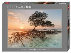 Heye Puzzle Mangrove 1000 kosov