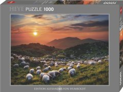 Heye Puzzle Ovce in vulkani 1000 kosov