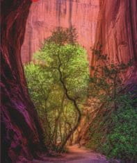 Heye Puzzle Power of Nature: Singing Canyon 1000 kosov