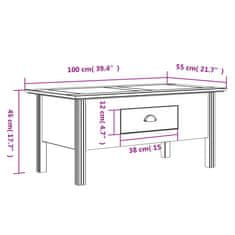 Vidaxl Klubska mizica BODO siva 100x55x45 cm trdna borovina