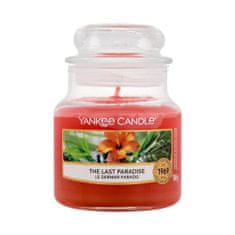 Yankee Candle The Last Paradise 104 g dišeča svečka