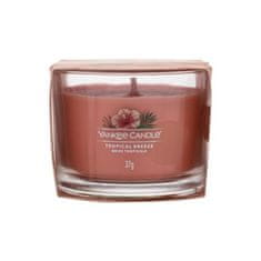 Yankee Candle Tropical Breeze 37 g dišeča svečka