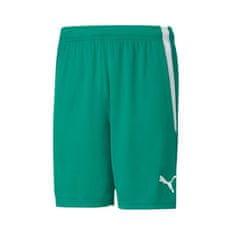 Puma Hlače obutev za trening zelena 182 - 187 cm/L 70492405