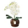 Cvetlični lonček Cvetlični lonec iz temnega lesa krogla skleda za rože s krožničkom okrogel ŠxV 170 mm x 160 mm površina mat keramika moderen glamur