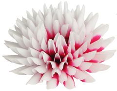 Georgova voščena roža - bela in rdeča v obliki iglic (15 cm) - 15 kosov