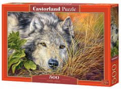 Castorland Puzzle Čista duša 500 kosov