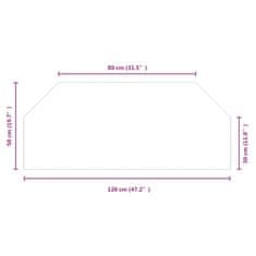 Vidaxl Steklena plošča za kamin šestkotna 120x50 cm