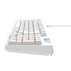 NEW Gaming tipkovnica Havit KB885L RGB (bela)