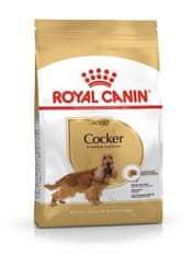 Royal Canin ROYAL CANIN Adult Cocker - suha hrana za pse - 12 kg