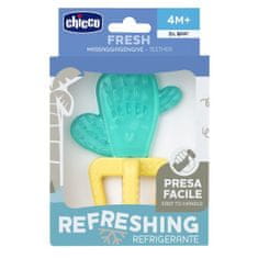 Chicco Hladilni ugriz Fresh Cactus 4m+