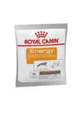 Royal Canin Royal Canin NUTRITIONAL SUPPLEMENT ENERGY - mokra pasja hrana z okusom perutnine za energijo in vitalnost, 50 g