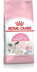 Royal Canin Royal Canin Mother &amp; Babycat mačke suha hrana 2 kg