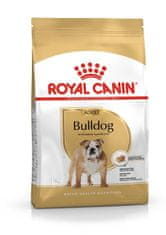 Royal Canin ROYAL CANIN Bulldog Adult - suha hrana za pse - 12 kg