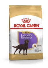 Royal Canin ROYAL CANIN Labrador Retriever Sterilised Adult - suha hrana za pse - 12kg