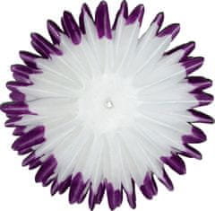 Šentjanževka - voščeni ohlapni cvetni listi - vijolična in bela - 600 kosov