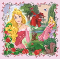 Trefl Disneyjeve princese in prijatelji Puzzle 3v1 (20,36,50 kosov)