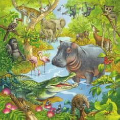 Ravensburger Puzzle Živali džungle 3x49 kosov