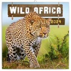 Koledar 2024 zvezek: Divja Afrika, 30 × 30 cm
