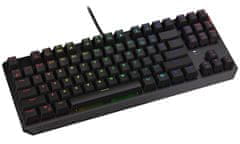 Endorfy Thock TKL Kailh BL RGB Ključ. USB