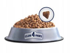 Club4Paws Premium Suha hrana za mačke zoper dlačne kepice 14 kg