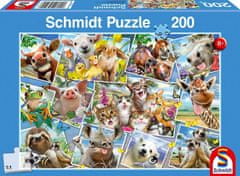 Schmidt Puzzle Živalski selfie 200 kosov