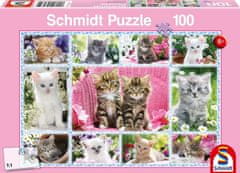 Schmidt Puzzle Kittens 100 kosov