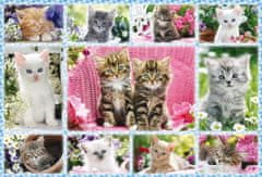 Schmidt Puzzle Kittens 100 kosov