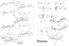 Metal Earth Kovinska Zemlja 3D sestavljanka: Mantis Mantis