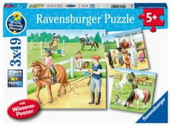 Ravensburger Puzzle - Konji 3 x 49 kosov